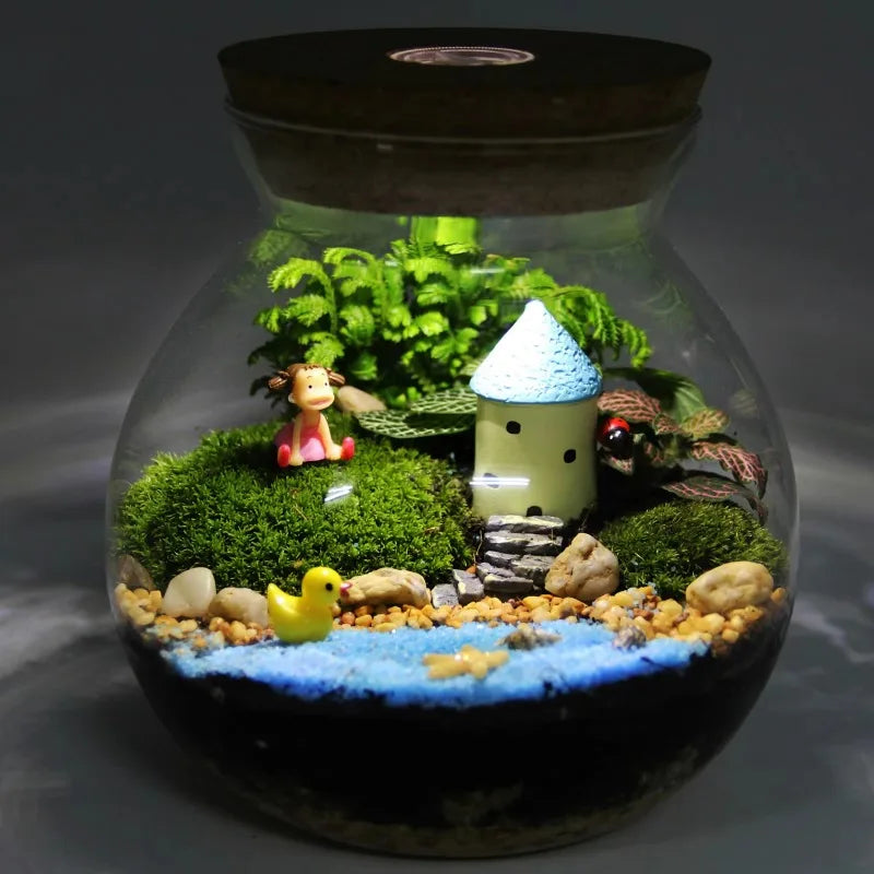 Micro Landscape Ecological Bottle Terrarium Jar Large Kit Moss Plant Drink Containers Fish Tank Planter Home Decor Glass