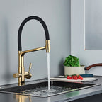Filter Kitchen Faucet Black Dual Spout Drinking Water Faucet Mixer 360 Degree Rotation Hot Cold Water Purification Feature Tap