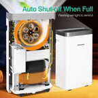 HUMSURE Dehumidifier 16 L/Day, Electric Dehumidifier with Drain Hose 1