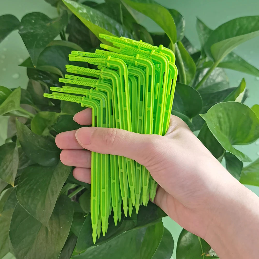 WUJIE 50-1000PCS 1/8'' Green Drippers 3/5mm Bending Arrow Emitters Garden Potted Irrigation Watering Micro Drip System Fittings