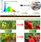 Seed Starter Tray with Grow Light, 120 Cells Smart Timer Seed Starter Kit ,Adjustable Vents, Drainage Holes.