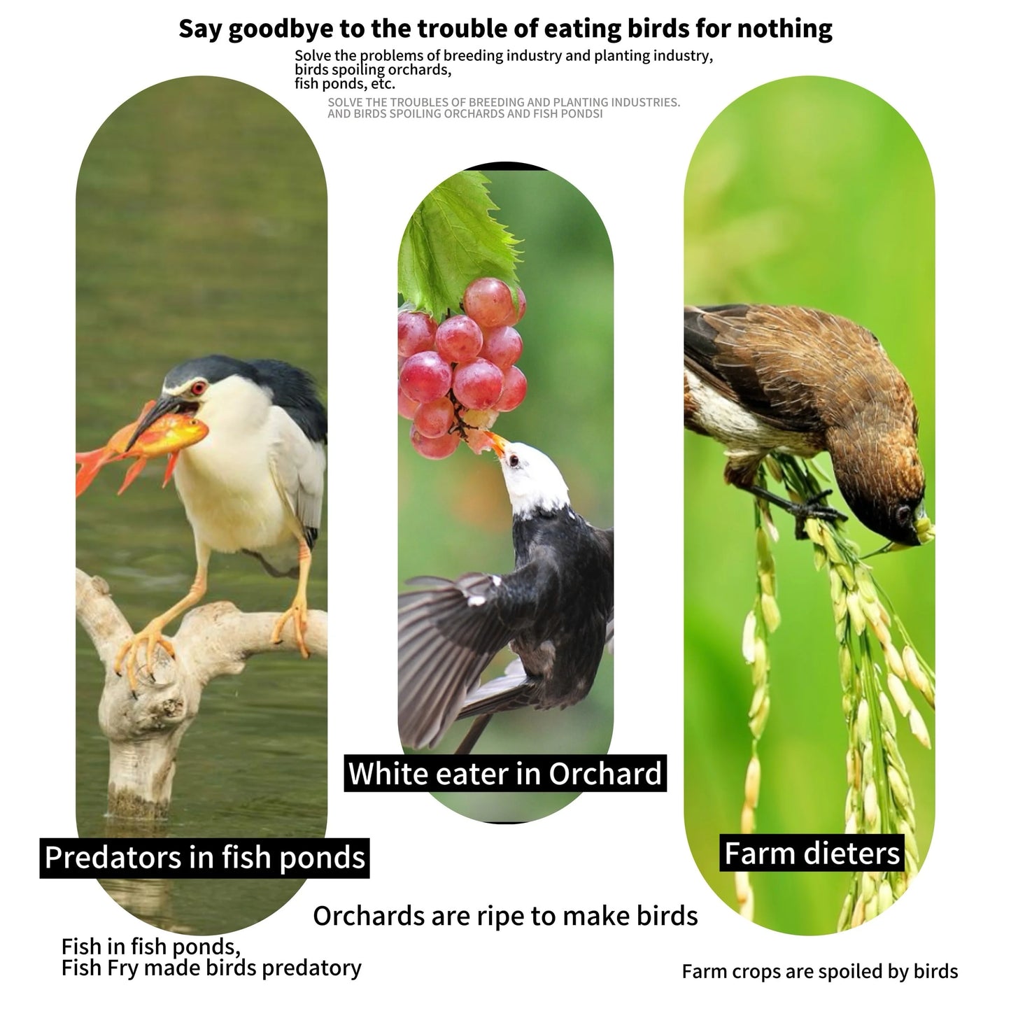 1pc, Bird Protection Net, Fine-meshed Bird Net, Cat Net For Balconies Without Drilling, Leaf Net For Fine-meshed Pond Cover Net