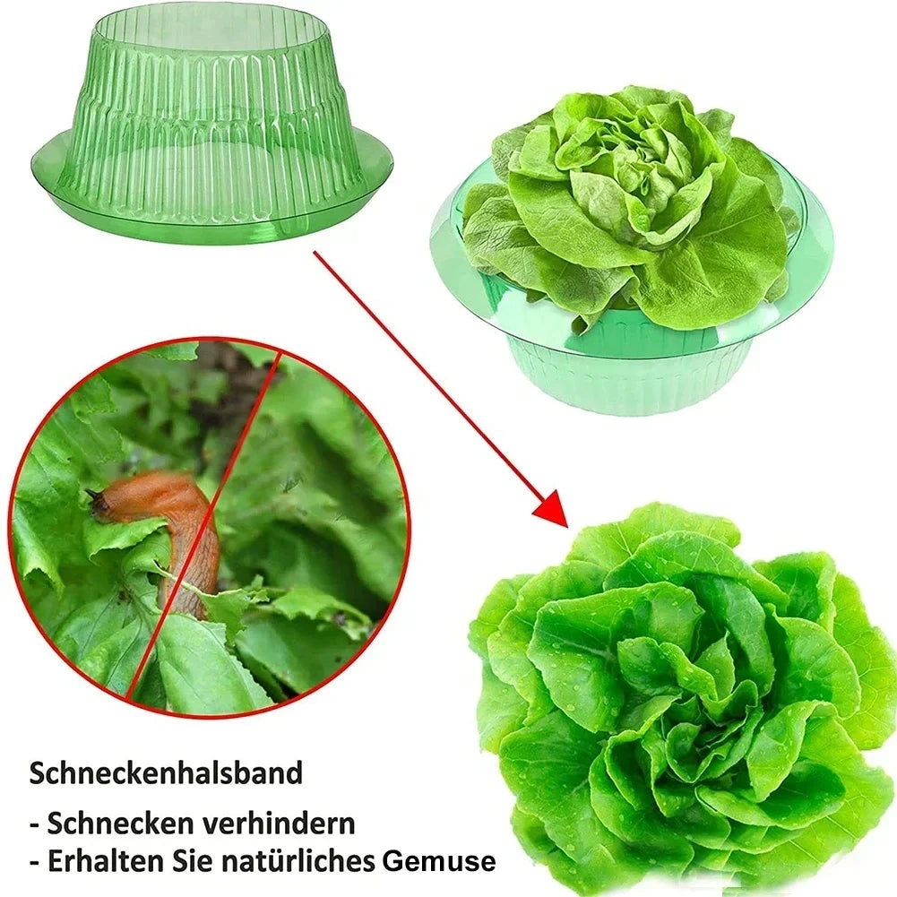 Plants Snail Protection Rings Vegetable Green Planter Flower Pot Pest Control Trapper Repel Snails Garden Protects Animal Tool