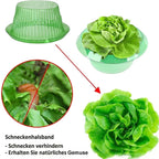 Plants Snail Protection Rings Vegetable Green Planter Flower Pot Pest Control Trapper Repel Snails Garden Protects Animal Tool