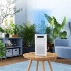 Professional home air purifier for removing formaldehyde odor and rele
