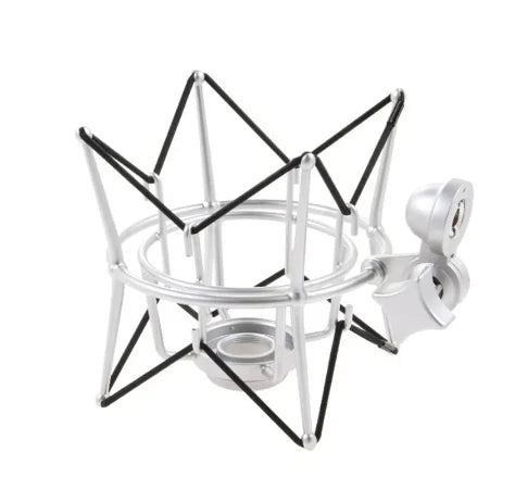 Original SAMSON C01 Condenser Microphone for recording vocals, acoustic instruments and drum without case package