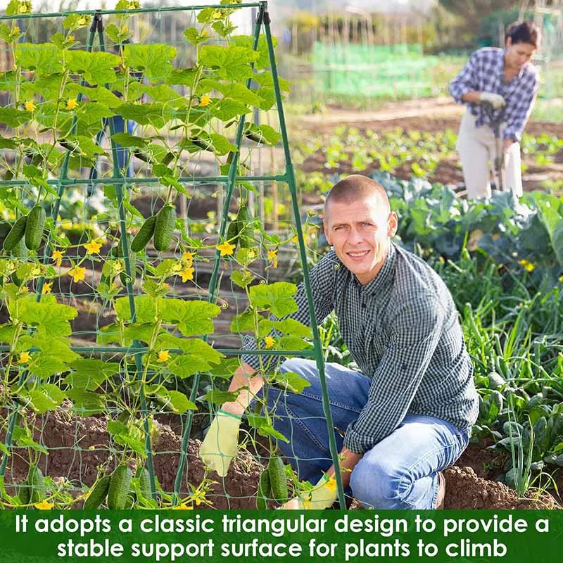 Garden A-Frame Vegetable Plant Climbing Frame Kit Grow Supports Fit Climbing Rustproof Vine Cucumber Trellis Tomatoes Grapes