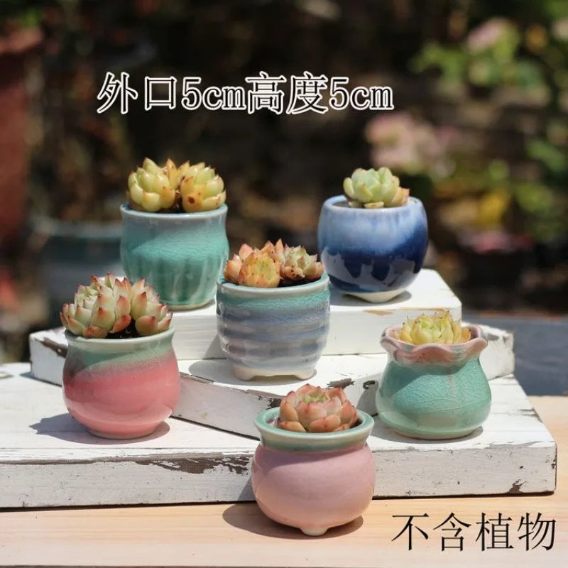 Combination Ceramic Breathable Small Flowerpot Cute Thumb Succulent Plant Flowerpot Home Mini Garden Bonsai Potted Flower Pot