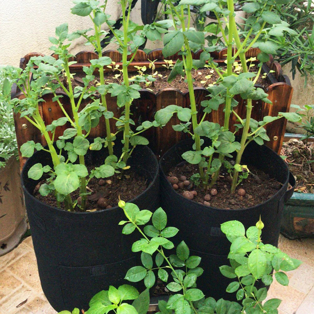 10 Gallon 7 Gallon Potato Planting Bag Non-Woven Fabric Grow Pot Home Garden Strawberry Plant Grow Bag Push System