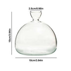 Avocado Hydroponic Vase Seed Cultivation Containers For Avocado Pits Vase For Transparent High Borosilicate Glassware