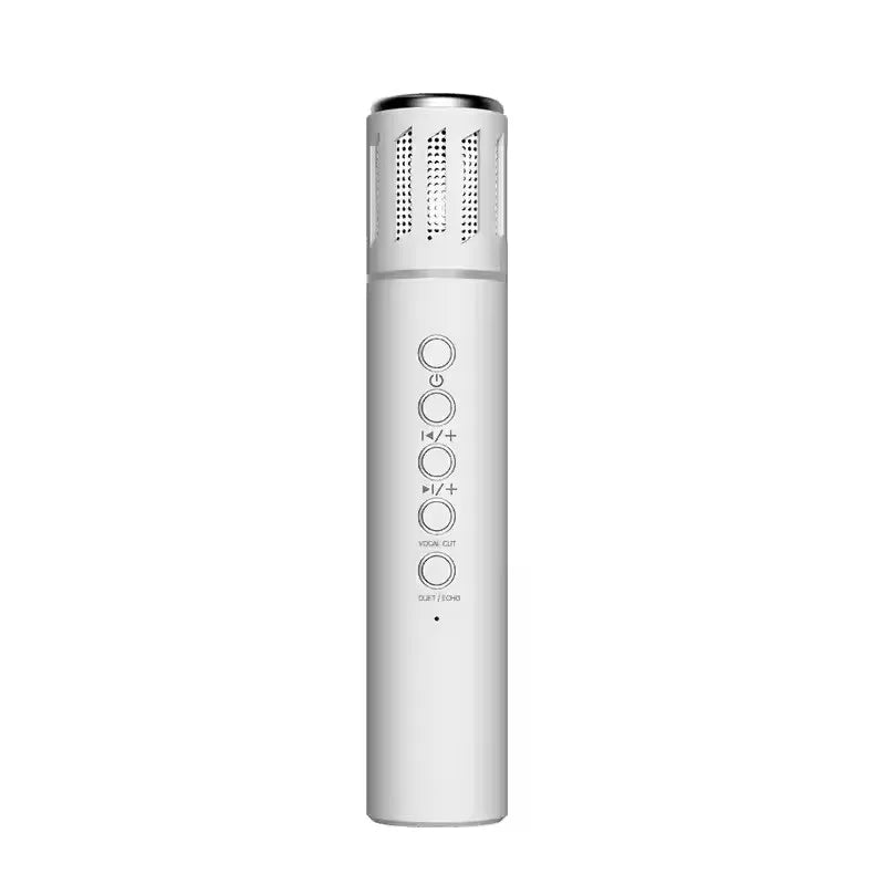 2-in-1 Karaoke Wireless Microphone & Bluetooth Speaker