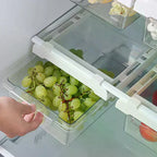 Kitchen Storage Box Fruit Vegetable Preservation Organizer Transparent Egg Container Under-shelf Refrigerator Drawer
