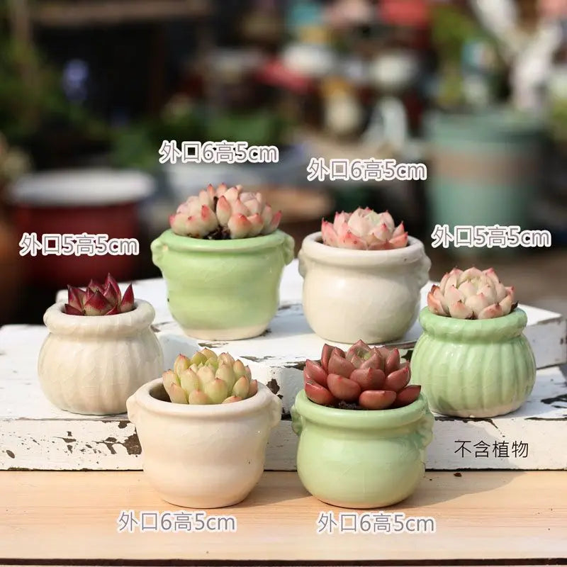 Combination Ceramic Breathable Small Flowerpot Cute Thumb Succulent Plant Flowerpot Home Mini Garden Bonsai Potted Flower Pot