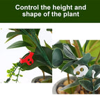 100/10Pcs Plant Clamp Bending Device Flower Vine Branches Plant Stem Training Clips Plant Growth Bender Control Support Clamps