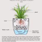 Plastic Self-Watering Flowerpot Lazy Desktop Rectangular Square Plant Flower Pot with Water Level Indicator for Office Garden