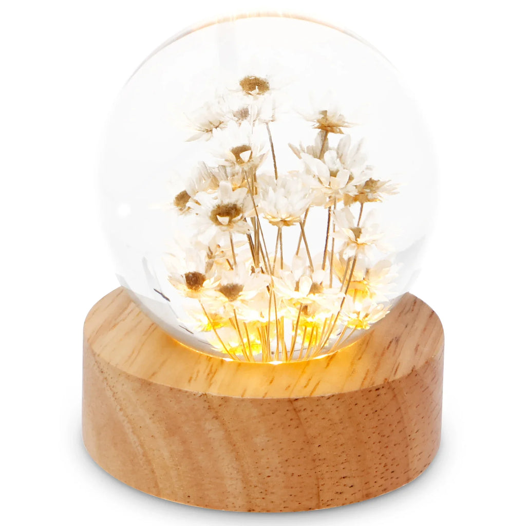 3D Dandelion Crystal Ball LED Night Light with Beech Wood Stand Preserved Flower Sphere Ball Resin Craft Home Decor Bithday Gift