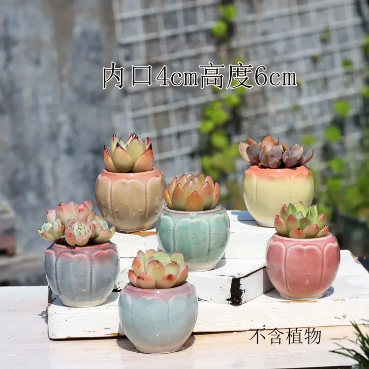 Combination Ceramic Breathable Small Flowerpot Cute Thumb Succulent Plant Flowerpot Home Mini Garden Bonsai Potted Flower Pot