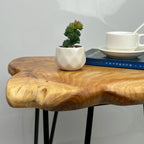 Live Edge Side Table, Wood End Table 16" L x 12" W x 17" T , Nightstand, Plant Stand  ，Unique desktop for Living Room