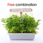 Auto Timer Plant Grow LED Grow Lights Bamboo Tray Stake Adjustable Height 4 Dimmable Brightness Hydroponics System Indoor Garden