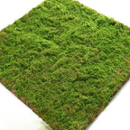 Artificial Turf Moss Wall Synthetic Grassland Fake Faux Grass Simulation Muscu Grass Decor Outdoor Decoration Garden Accessories
