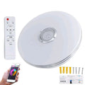 Intelligent LED Lamp with Speaker RGB Home Decoration Light Dimmable Bluetooth-compatible Remote Control for Bedroom Living Room