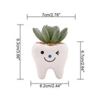Cute Tooth Flowerpots Ceramic Garden Pots Planters Succulent Cactus Vases Decor Home Garden Decorative Tabletop Plant Pot
