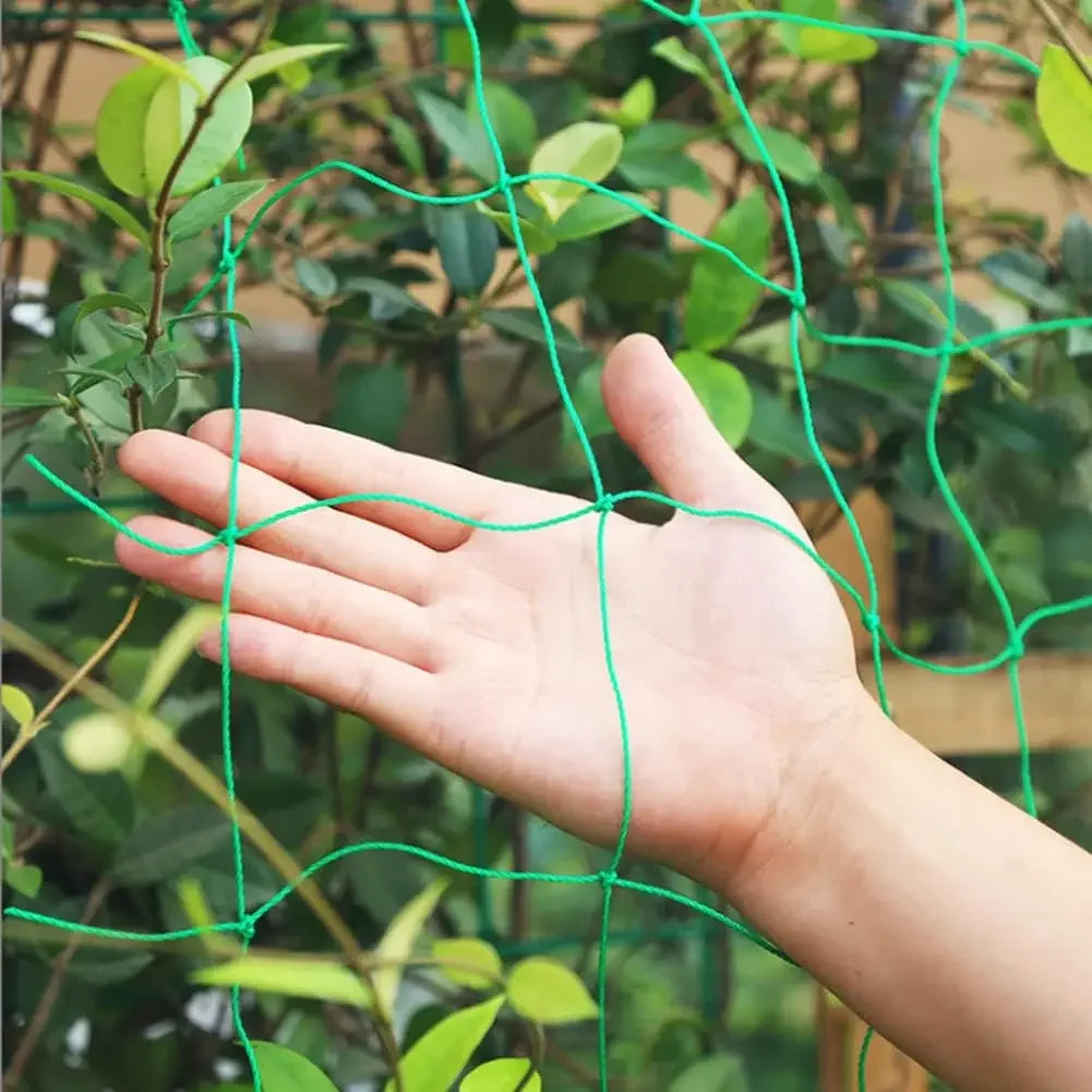 1-3PCS Anti Bird Protection Plant Climbing Net Garden Plant Trellis Netting for Loofah Morning Glory Flowers Cucumber Grape Vine