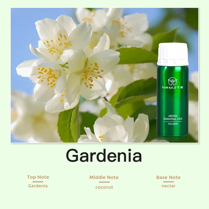 Namste 100ML Floral Fruity Collection Lavender Jasmine Green Tea Perfu