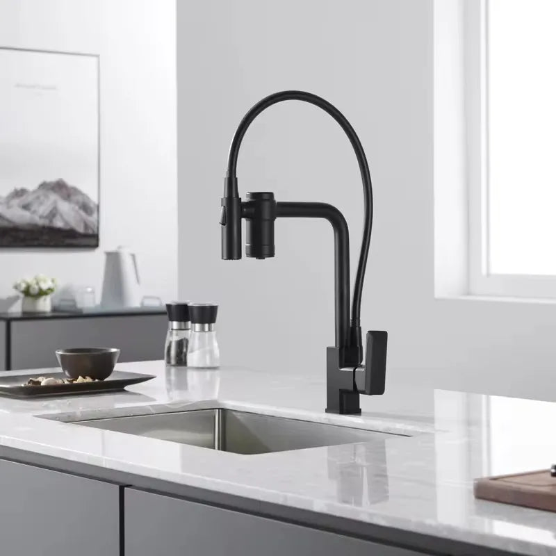 Filtered Kitchen Sink Faucet Pure Water Tap Spout 2 Models Spout Deck Mount Single Handle Cold Hot Water Mixer Washing Tub Crane