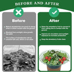 Strawberry Support Farming Supplies Mini Greenhouse Accessories Vegetable Garden Items Plant Protector Greenhouse for Plants