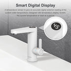 Briwellna Water Heater 220V 2 in 1 Basin Faucet Cold and Hot Water Tap Tankless Water Heater Flowing Eectric Faucet Heated Mixer