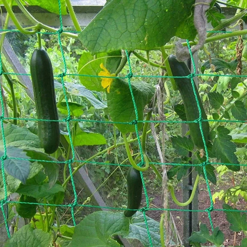 1-3PCS Anti Bird Protection Plant Climbing Net Garden Plant Trellis Netting for Loofah Morning Glory Flowers Cucumber Grape Vine