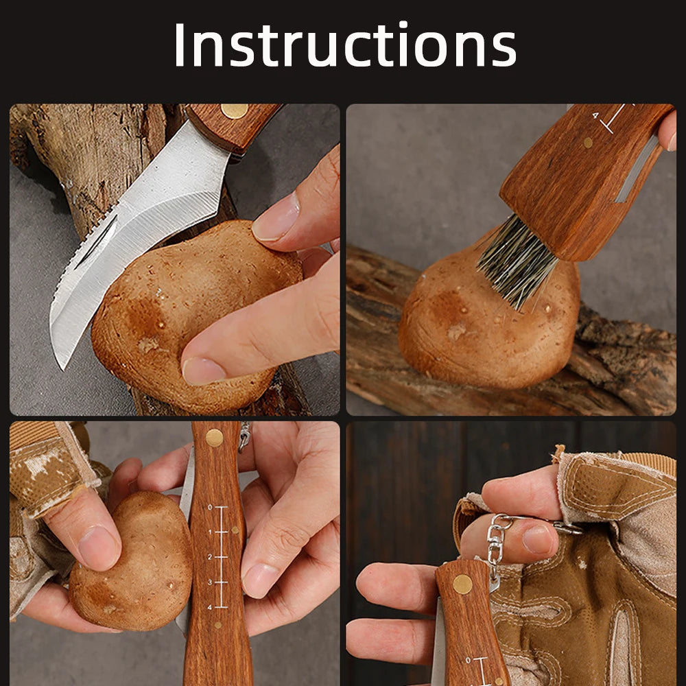 Kitchen Knives Mini Mushroom Knife Stainless Steel Wooden Handle with Keychain Brush Sharp Multifunctional Folding Knife Brush