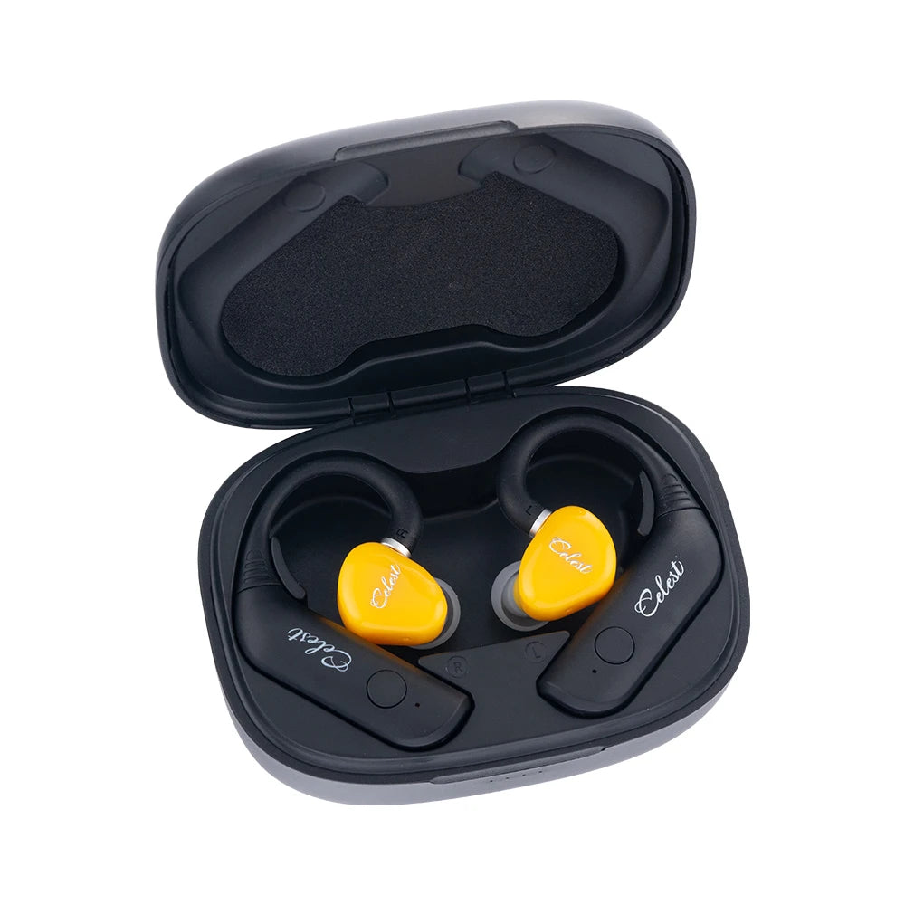 Celest T1 Ear Hook With Wyvern Black Qing Rue Earphone V5.3 Bluetooth Headphones Waterproof Headset Cable Hifi Music IEMs