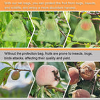 50pcs Fruit Protection Bags Mesh Netting Covers with Drawstring for Grapes Mango Veggies Reusable Pest Barrier Garden Plant Bags