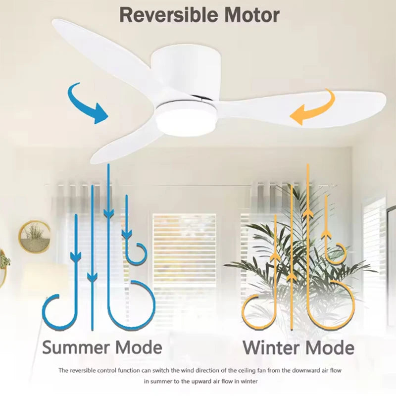 Modern LED Ceiling Fan Lights Low Floor Decorative Lights with Remote