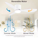 Modern LED Ceiling Fan Lights Low Floor Decorative Lights with Remote
