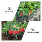 10Pcs Strawberry Supports Strawberry Frame Holder Balcony Planting Rack Plant Flower Stand for Home Garden Decor Supplies