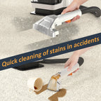 Handheld Carpet Pet Cleaner Powerful 450W 11KPa Powerful Vacuum Cleaner Machine For Carpet Sofa Spot Deep Cleaning Machine