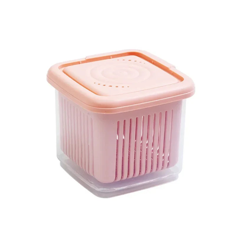 Kitchen Fridge Two - layer Mini Storage Box Refrigerator Organizer
