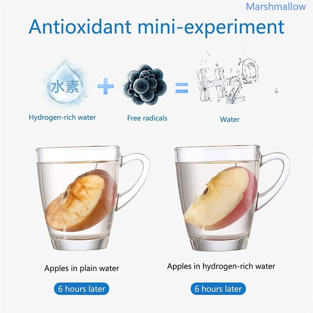 Electric Water Filter Hydrogen Generator Hydrogen Rich Antioxidants Bo