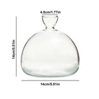Avocado Hydroponic Vase Seed Cultivation Containers For Avocado Pits Vase For Transparent High Borosilicate Glassware