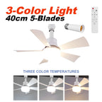 40W Ceiling Fan Lamp RGB Dimmable Ceiling Fanlight Stepless Dimming E2