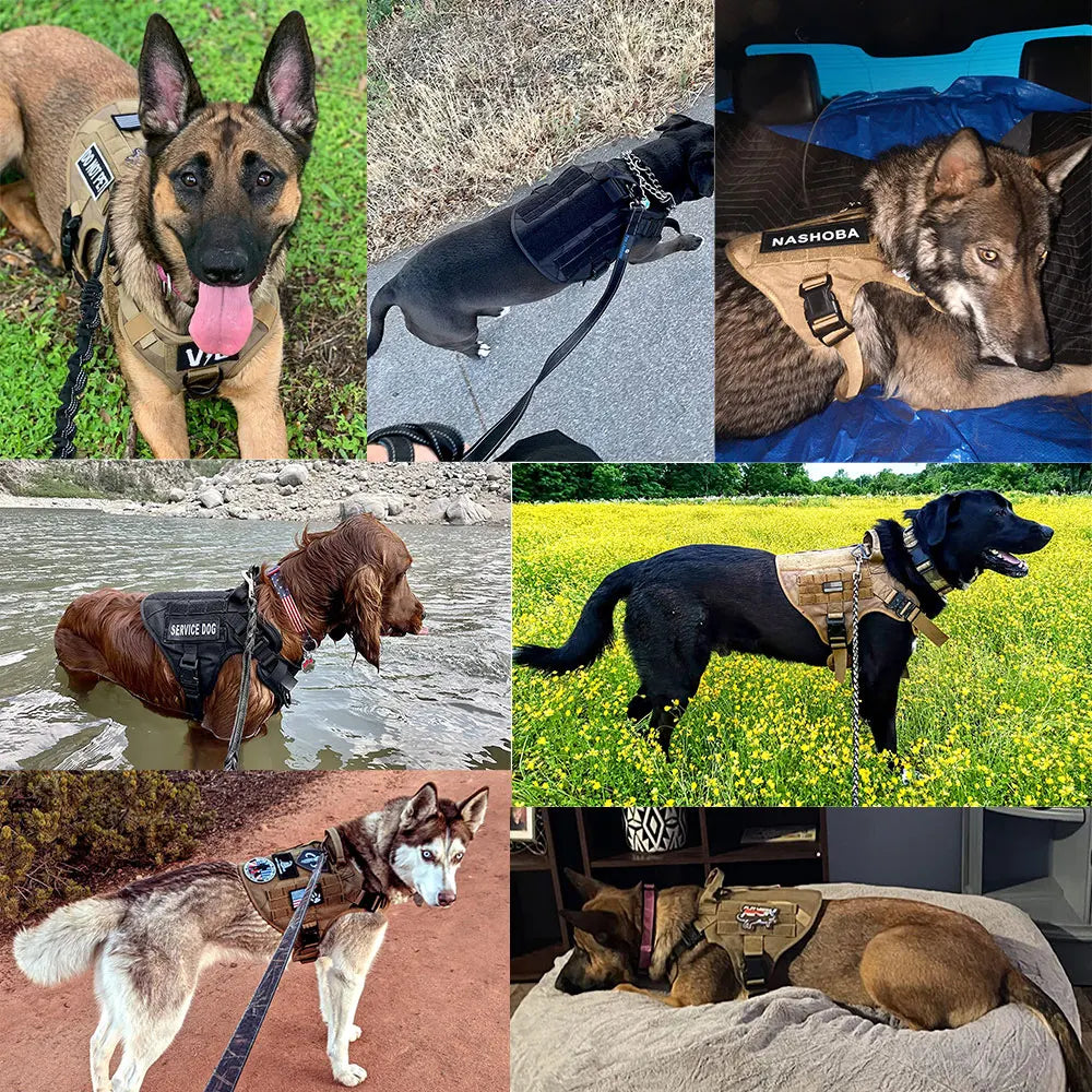 Military Dog Harness Leash Bags Set Pet Tactical Vest Harnesses Walkin