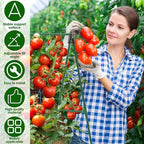 Garden A-Frame Vegetable Plant Climbing Frame Kit Grow Supports Fit Climbing Rustproof Vine Cucumber Trellis Tomatoes Grapes