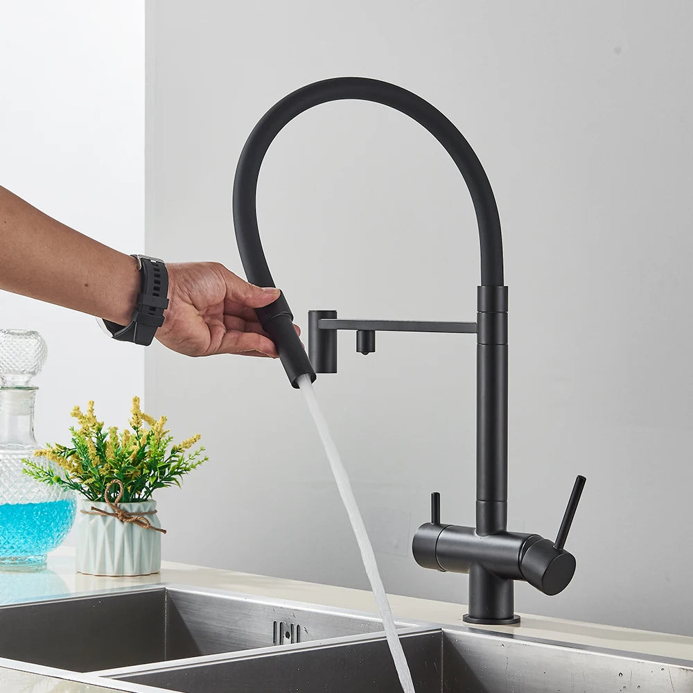 Black Filtered Kitchen Faucet Pure Water Pull Out Brass Sink Faucet Dual Handle Hot&Cold Drinking Water Purified Mixer Taps