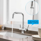 ROVATE 3 in 1 Kitchen Faucet, Hot and Cold Kitchen Sink Faucet with Drinking Faucet Water Filter