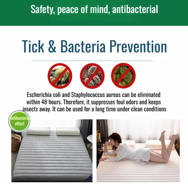 Single Thicken Sleep Mattress antimite natural latex mattress portable Folding Tatami soft pad dormitory student special mattres