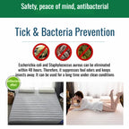 Single Thicken Sleep Mattress antimite natural latex mattress portable Folding Tatami soft pad dormitory student special mattres