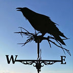 Stainless Steel Rooster Weathervane Weather Vane Yard Garden Barn Ornament Collies Shed Kit Weather Vanes Roofs Dropshipping